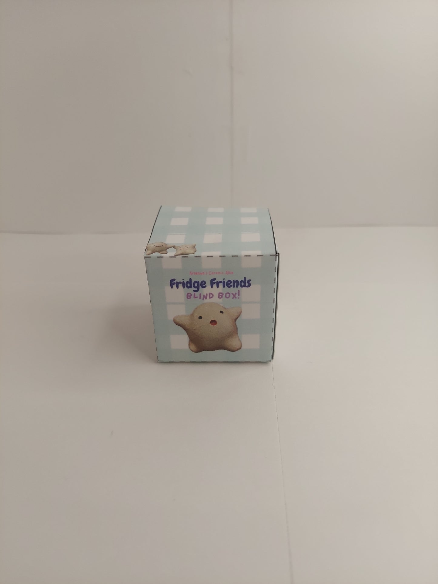Fridge friends blind box!