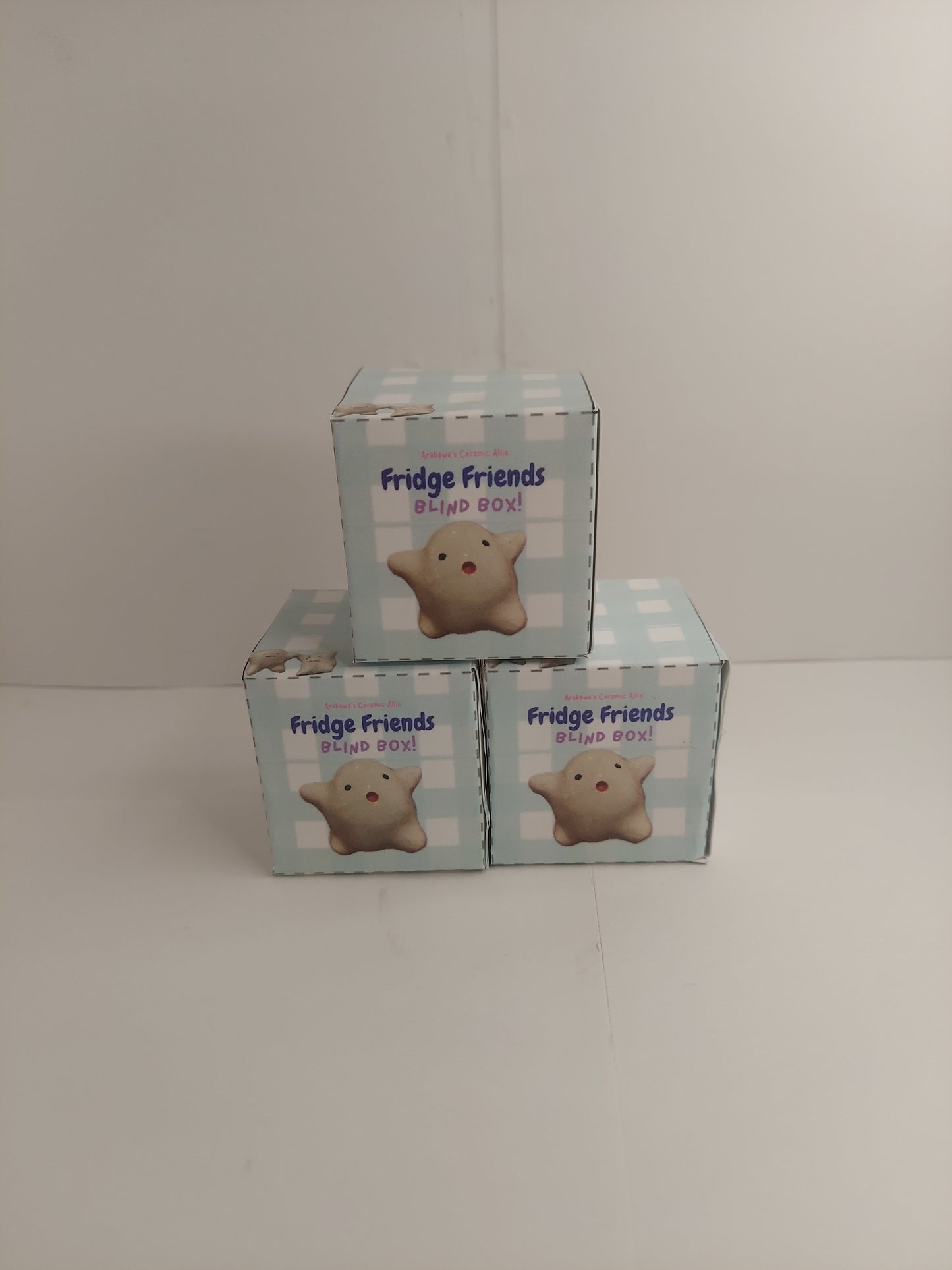 Fridge friends blind box!